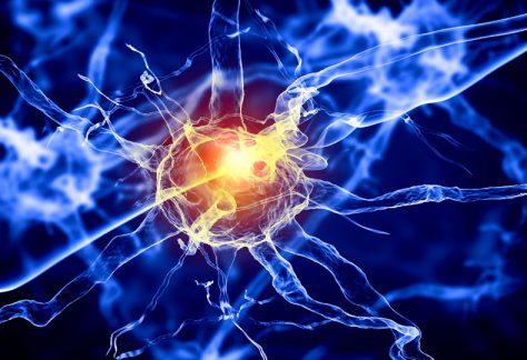 Regenerative Medicine Regenerative Medicine